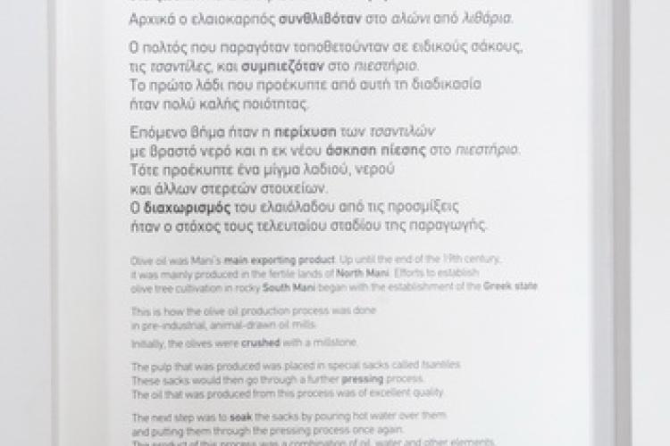 Ελαιόδεντρα στον οικισμό Σταυρί, κοντά στον Γερολιμένα